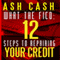 What the FICO: 12 Steps to Repairing Your Credit (Unabridged) audio book by Ash Cash