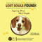 Lost Souls: Found! Inspiring Stories About Beagles (Unabridged) audio book by Kyla Duffy, Lowrey Mumford