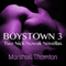 Boystown 3: Two Nick Nowak Novellas (Unabridged) audio book by Marshall Thornton