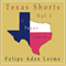 Texas Shorts, Vol. 1 (Unabridged) audio book by Felipe Adan Lerma