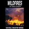 Wildfires: The Natural Disasters Series (Unabridged) audio book by Anne Schraff