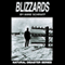 Blizzards: The Natural Disasters Series (Unabridged) audio book by Anne Schraff