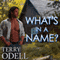 What's in a Name? (Unabridged) audio book by Terry Odell