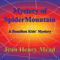 Mystery of Spider Mountain: A Hamilton Kids' Mystery, Book 1 (Unabridged) audio book by Jean Henry Mead