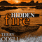 Hidden Fire: Pine Hills Police, Book 2 (Unabridged) audio book by Terry Odell