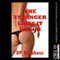 The Stranger Likes it Rough: A First Anal Sex Erotica Story (Unabridged) audio book by DP Backhaus