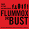 Tales of the Incorrigible: Flummox or Bust (Unabridged) audio book by Kevin Bowersox