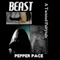 Beast (Unabridged) audio book by Pepper Pace