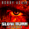 Slow Burn: Destroyer, Book 3 (Unabridged) audio book by Bobby Adair