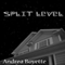Split Level (Unabridged) audio book by Andrea Boyette