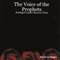 The Voice of the Prophets: Abridged Lesser Known Texts audio book by Marilynn Hughes