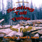 Scaling Tall Timber (Unabridged) audio book by Dave Folsom