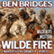 Wilde Fire: The Wilde Boys, Book 2 (Unabridged) audio book by Ben Bridges