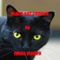 Black Cat Charlie: Lost on the High Seas (Unabridged) audio book by Ivana Vianno