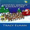 Santa's Snowy Adventure (Unabridged) audio book by Tracy Elman