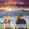Falling Like a Rock (Unabridged) audio book by Bonnie McCune