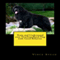Train and Understand Your Newfoundland Dog with Good Behavior (Unabridged) audio book by Vince Stead