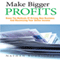 Make Bigger Profits: Know the Methods of Driving New Business and Maximizing Your Online Income (Unabridged) audio book by Nathan Rodriguez