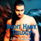 Night Hawk Trilogy: Night Hawk Series, Book 0 (Unabridged) audio book by J.E. Taylor