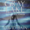 Gray Lake: A Novel of Crime and Supernatural Horror (Unabridged) audio book by David Bain