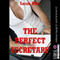 The Perfect Secretary: An Office Sex Erotica Story (Unabridged) audio book by Sarah Blitz