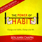 The Power of Habit: How to Create Good Habits & Break Bad Habits (Unabridged) audio book by Benjamin Chapin