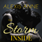 The Storm Inside (Unabridged) audio book by Alexis Anne
