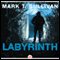 Labyrinth (Unabridged) audio book by Mark T. Sullivan