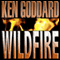 Wildfire: Henry Lightstone, Book 2 (Unabridged) audio book by Ken Goddard