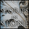 Stories in Stone: Travels Through Urban Geology (Unabridged) audio book by David B. Williams