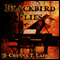 Blackbird Flies (Unabridged) audio book by Chynna Laird