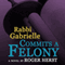 Rabbi Gabrielle Commits a Felony (Unabridged) audio book by Roger Herst