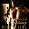 Branded Sanctuary (Unabridged) audio book by Joey W. Hill