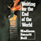 Waiting for the End of the World (Unabridged) audio book by Madison Smartt Bell