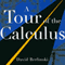 A Tour of the Calculus (Unabridged) audio book by David Berlinski