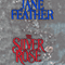The Silver Rose (Unabridged) audio book by Jane Feather