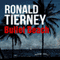 Bullet Beach: Deets Shanahan, Book 10 (Unabridged) audio book by Ronald Tierney