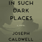 In Such Dark Places: A Novel (Unabridged) audio book by Joseph Caldwell