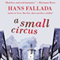 A Small Circus: A Novel (Unabridged) audio book by Hans Fallada, Michael Hoffman (translator)