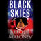 Black Skies: A Dan Morgan Thriller (Unabridged) audio book by Leo J. Maloney