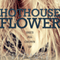 Hothouse Flower: Calloway Sisters, Book 2 (Unabridged) audio book by Krista Ritchie, Becca Ritchie