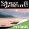 Das Schwert der Wahrheit 9 audio book by Terry Goodkind