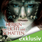 Herrin von Licht und Schatten (Tairen Soul Saga 2) audio book by C. L. Wilson