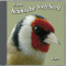 Gesnge und Rufe heimischer Vogelarten (Unsere heimische Vogelwelt 4) audio book by Karl Heinz Dingler