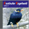 Exotische Vogelwelt. Vogelarten aus aller Welt audio book by Karl Heinz Dingler
