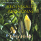 Terra Firme: Im Reich der Baumriesen (Regenwald Amazonas 3) audio book by Gabriele Trinkl