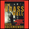 The Brass Wall audio book by David Kocieniewski