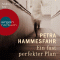 Ein fast perfekter Plan audio book by Petra Hammesfahr