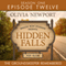 Hidden Falls: The Groundskeeper Remembered - Episode 12 (Unabridged) audio book by Olivia Newport