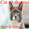 Cat Up the Tree (Unabridged) audio book by Knower Peace